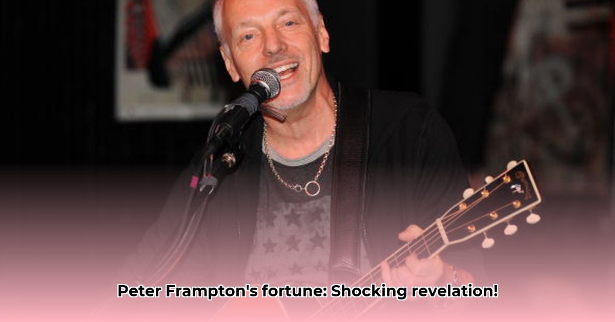 net-worth-peter-frampton